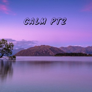 Calm pt2(feat. Bag boy)