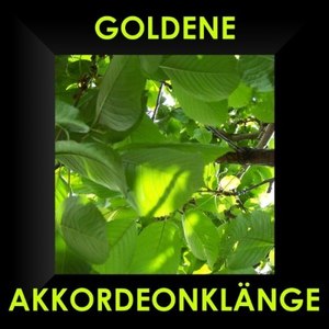 Goldene Akkordeon Klänge - Accordeon