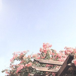 Will You Love Me Tomorrow