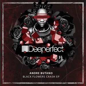 Black Flowers Crash (Original Mix)