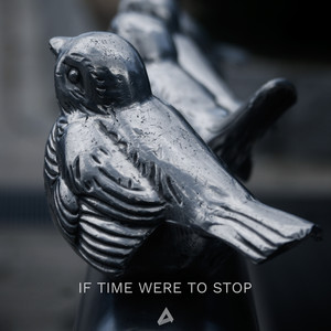 If Time Were to Stop