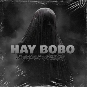 Hay bobo