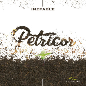 Petricor