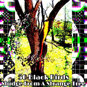 Master of All Jack of No Trades(Re Release & Bonus Track)