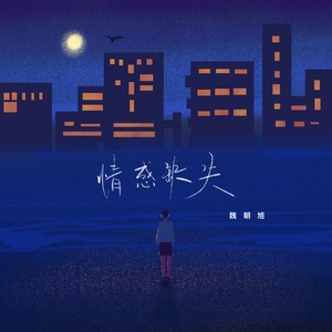 魏朝旭 - 情感缺失