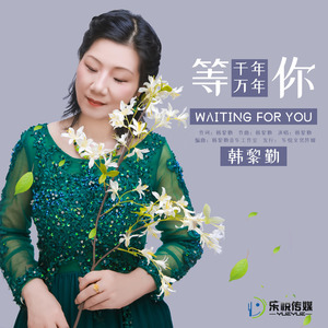 等你千年万年封面