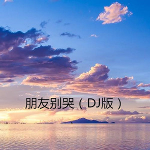 火火 - 朋友别哭 (DJ版)