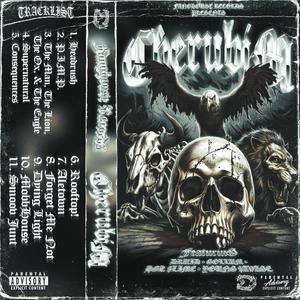 Supernatural (feat. Druid, Gollum, HGK $LiME & Young $avage) (Explicit)