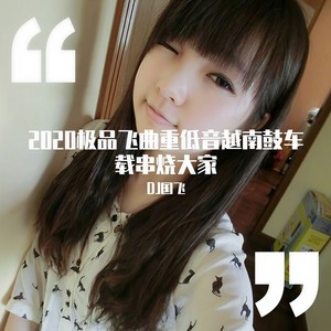 2020极品飞曲重低音越南鼓车载串烧大碟