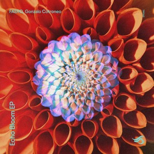 Echo Bloom