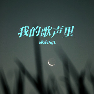 我的歌声里