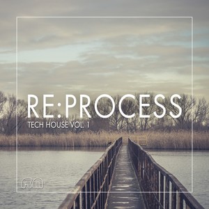 Re:Process (Tech House, Vol. 1)