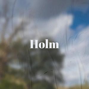 Holm