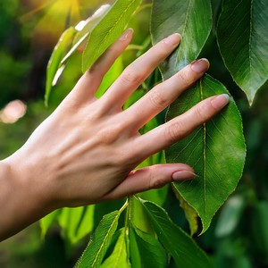 Breeze Through The Green Valley