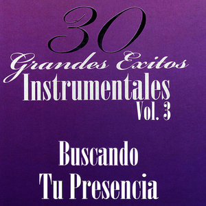 30 Grandes Éxitos Instrumentales Vol. 3 - Buscando Tu Presencia