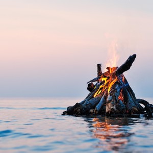 Shake the Town (feat. Diesel Wolf)