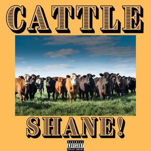 Cattle (Explicit)