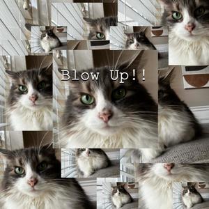 Blow up !! (feat. wntrs & LucasDeez) (Explicit)