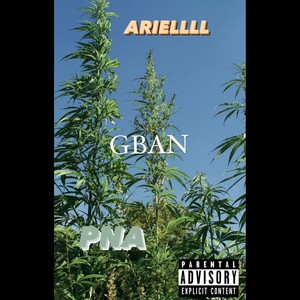 GBAN (Explicit)