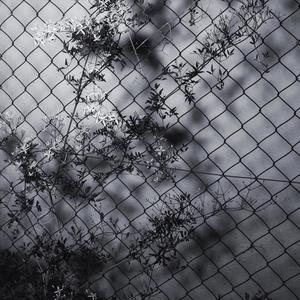 Our Little Secret(feat. D MAUL) (Explicit)