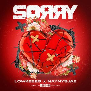 SORRY (Explicit)