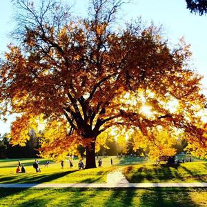 Becks For Breakfast (Explicit)