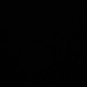 Switches (feat. Leekrackz) (Explicit)