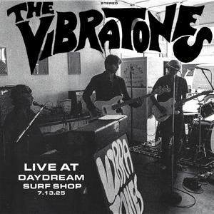 Chrysanthemums (Live)