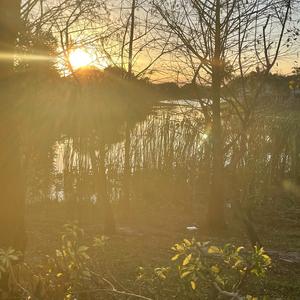 ESCAPE (feat. Kadin Neese)