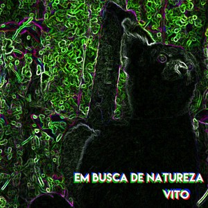 Em Busca de Natureza