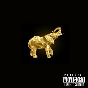 The Elephant In The Room (Explicit)