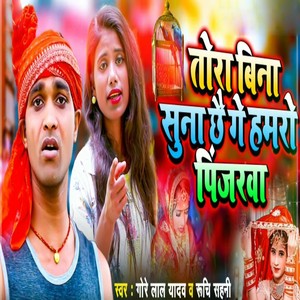 Tora Bina Suna Chhe Ge Hamro Pinjara