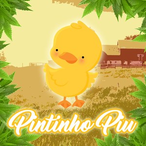 Pintinho Piu