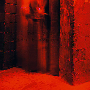 I Bet You Guys Didn't Expect This (Explicit)