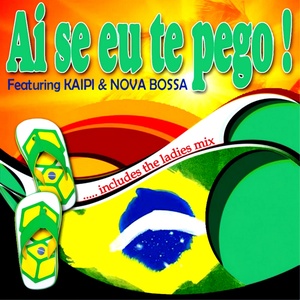 Ai Se Eu Te Pego ! (Includes the Ladies Mix)