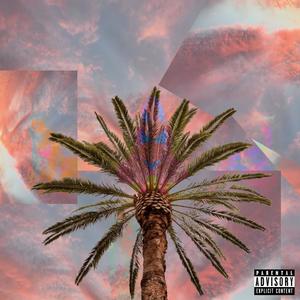 Pink Skies and Palm Trees (Explicit)