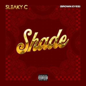 Shade (brown eyes)