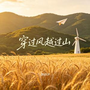 穿过风越过山封面