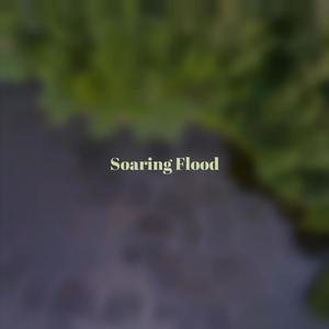 Soaring Flood