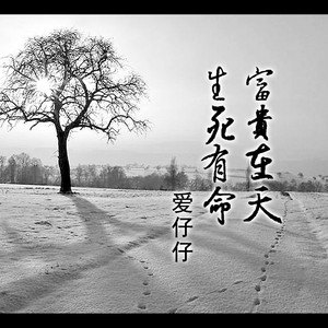 Love Story (DJ弹鼓版)