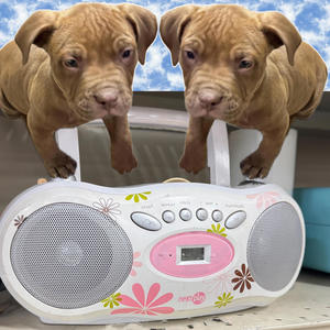 Repeat (feat. Dialate)