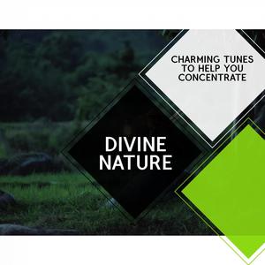 Divine Nature - Charming Tunes to Help You Concentrate