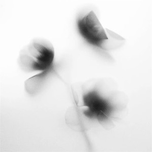 你可以回到过去-DJ小曹remix