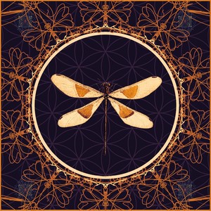 When Nature Calls(feat. 6091)