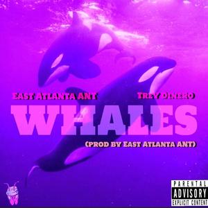 WHALES (feat. Trey Dinero) [Explicit]