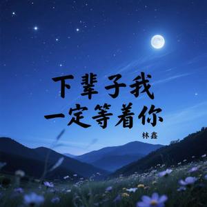 下辈子我一定等着你