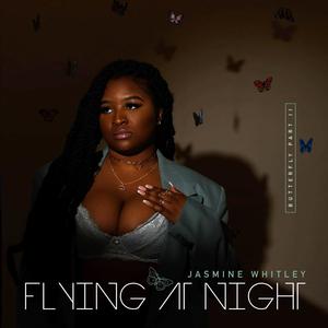 Flying At Night EP (Explicit)