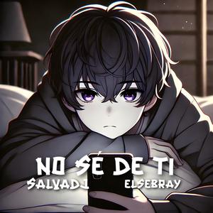 No Sé De Ti (feat. elsebray) [Explicit]