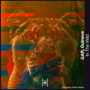 In The Wild (Original Mix)