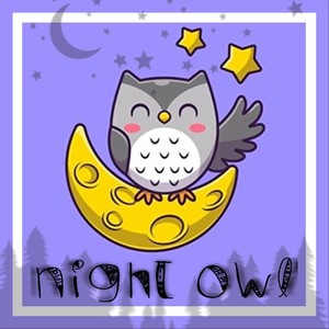 Night Owl (feat. LitKidBeats)